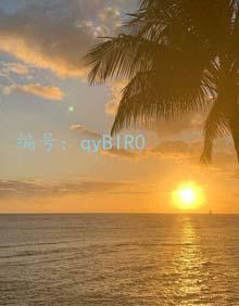 ѡ